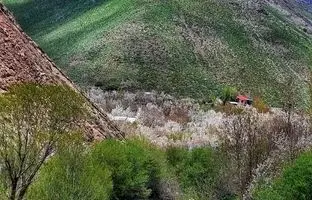 راهنمای سفر: طبیعت زیبا و بهاری روستای آهار شمیرانات + عکس