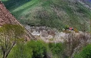 راهنمای سفر: طبیعت زیبا و بهاری روستای آهار شمیرانات + عکس
