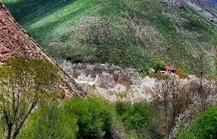 راهنمای سفر: طبیعت زیبا و بهاری روستای آهار شمیرانات + عکس