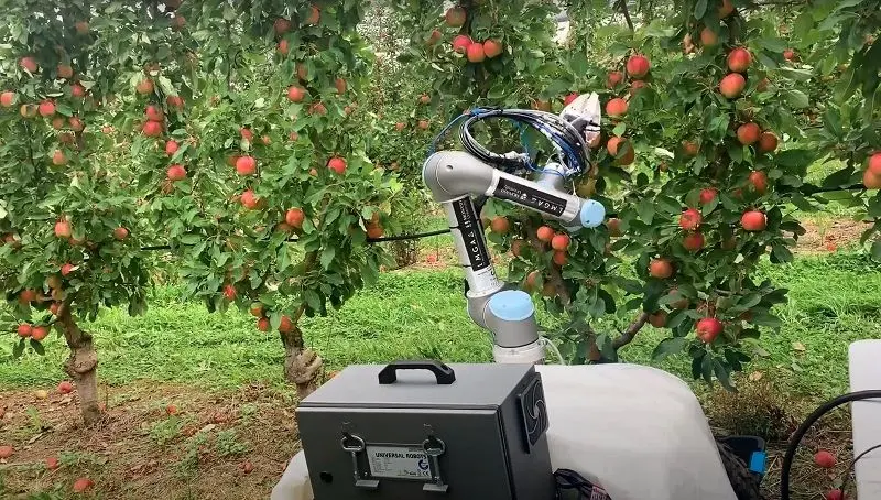 رباتی عجیب برای چیدن سیب که میوه های رسیده را اینطور تشخیص می دهد + ویدئو