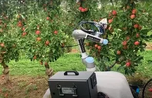 رباتی عجیب برای چیدن سیب که میوه های رسیده را اینطور تشخیص می دهد + ویدئو