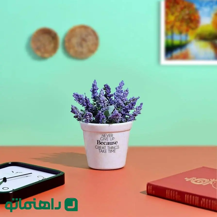 این گیاه انرژی و دانایی خانه را بالا می‌برد؛ مخصوص خانواده‌هایی که بچه مدرسه‌ای دارند