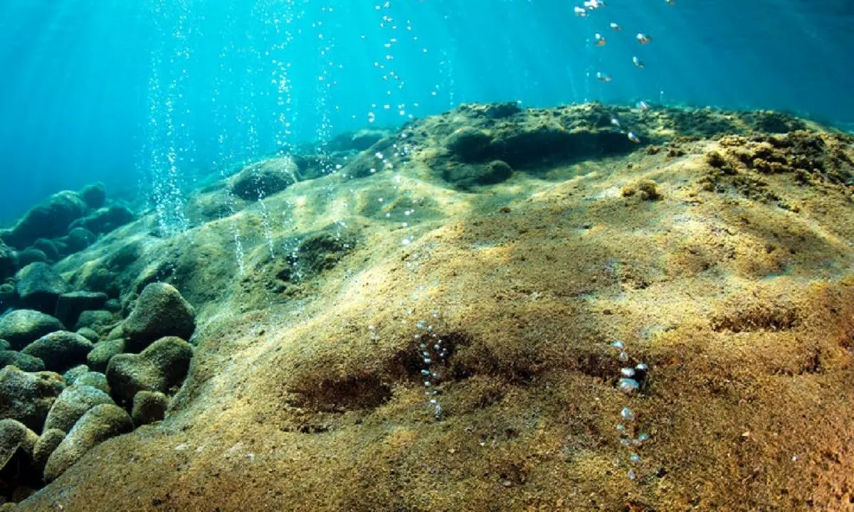 کشفی بی‌سابقه؛ میلیون‌ها تخم غول‌پیکر در دل آتشفشان زیر اقیانوس