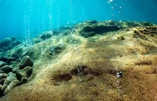 کشفی بی‌سابقه؛ میلیون‌ها تخم غول‌پیکر در دل آتشفشان زیر اقیانوس