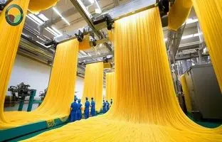 ماکارونی چگونه تولید می شود؟ + ویدئو