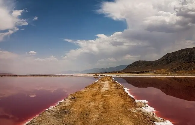 ۵ مکان دیدنی شیراز برای سفری یک روزه در دل طبیعت