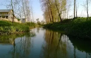 راهنمای سفر؛ پیربازار رشت در زمان ناصرالدین شاه/  پیربازار رشت کجاست ؟