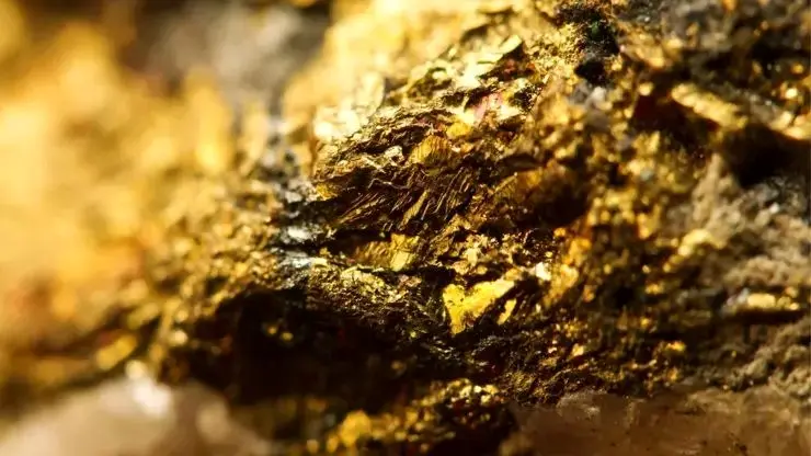 کشف ۱۵۰ تن طلا در زمین یک کشاورز در فرانسه
