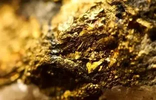 کشف ۱۵۰ تن طلا در زمین یک کشاورز در فرانسه
