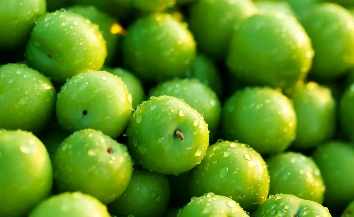 اتفاقی که بعد از مصرف زیاد گوجه سبز در بدن می‌افتد 