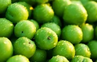 اتفاقی که بعد از مصرف زیاد گوجه سبز در بدن می‌افتد 