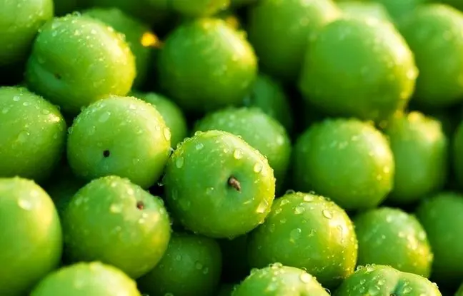 اتفاقی که بعد از مصرف زیاد گوجه سبز در بدن می‌افتد 