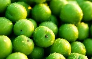 اتفاقی که بعد از مصرف زیاد گوجه سبز در بدن می‌افتد 