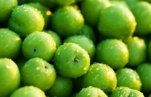 اتفاقی که بعد از مصرف زیاد گوجه سبز در بدن می‌افتد 