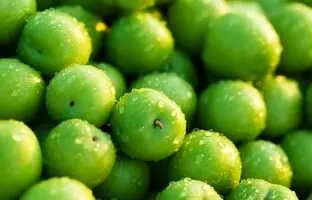 اتفاقی که بعد از مصرف زیاد گوجه سبز در بدن می‌افتد 
