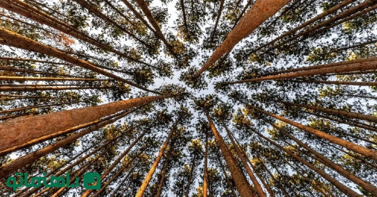 7 راه‌ برای رسیدن به جهانی از دریچه و زاویه‌ای متفاوت 