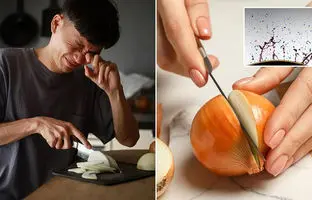 راز برش پیاز بدون جاری شدن اشک چشم از نگاه دانشمندان چیست؟