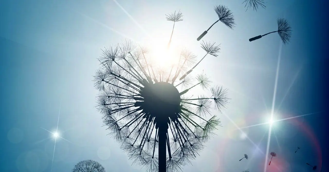 چرا ساعت‌ها را که جلو می‌کشند، طلاق افزایش پیدا می‌کند؟ 