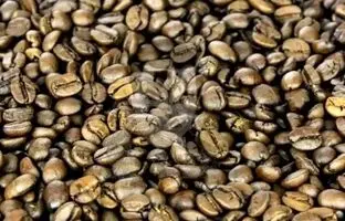 معمای تصویری سخت؛ اگه تیزبین هستی بازیگر مشهور رو بین دانه های قهوه پیدا کن!