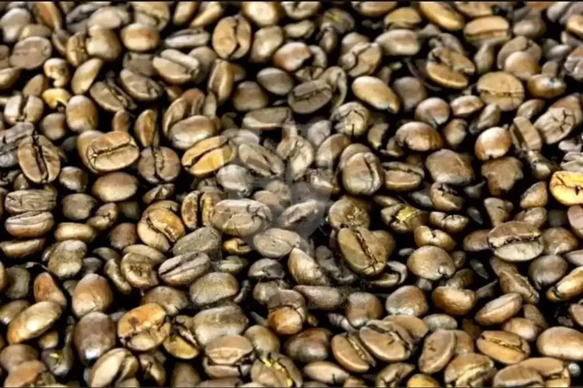 معمای تصویری سخت؛ اگه تیزبین هستی بازیگر مشهور رو بین دانه های قهوه پیدا کن!