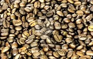 معمای تصویری سخت؛ اگه تیزبین هستی بازیگر مشهور رو بین دانه های قهوه پیدا کن!