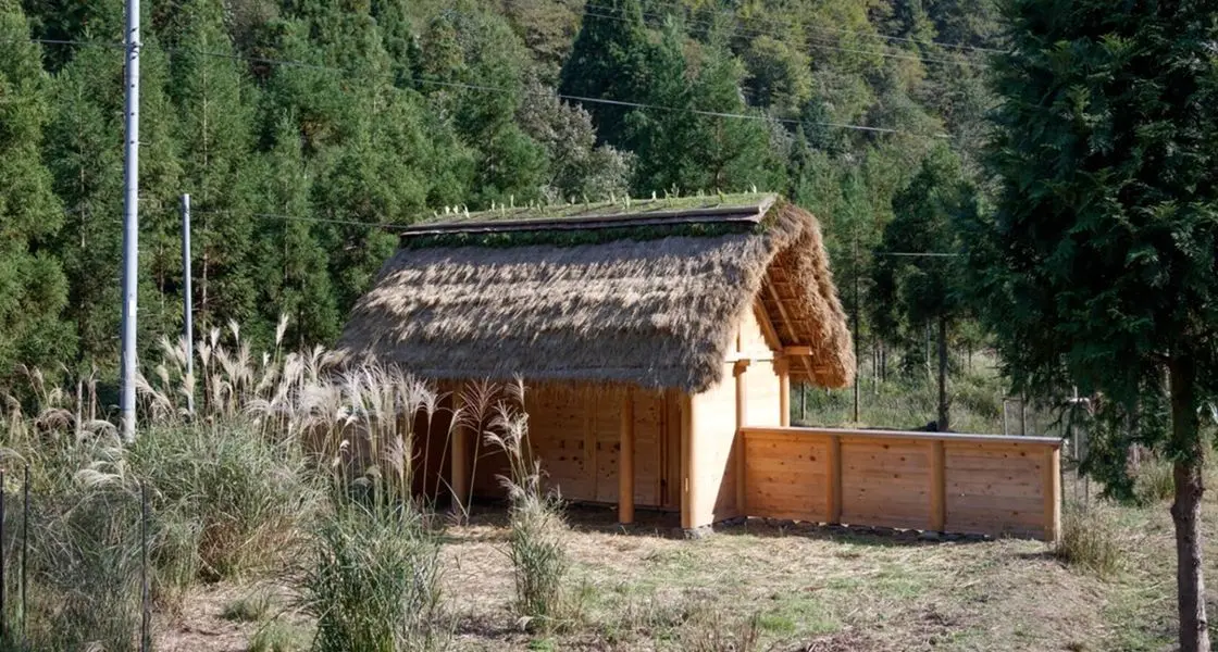 معماری خاص «آغل گوسفندان» در ژاپن، با الهام از طبیعت و معماری سنتی + تصویر