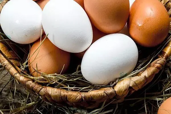 چگونه از سلامت تخم مرغ‌ها مطمئن شویم؟