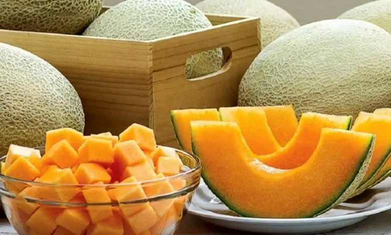 
آیا «ملون» تراریخته و مضر برای سلامتی است؟
