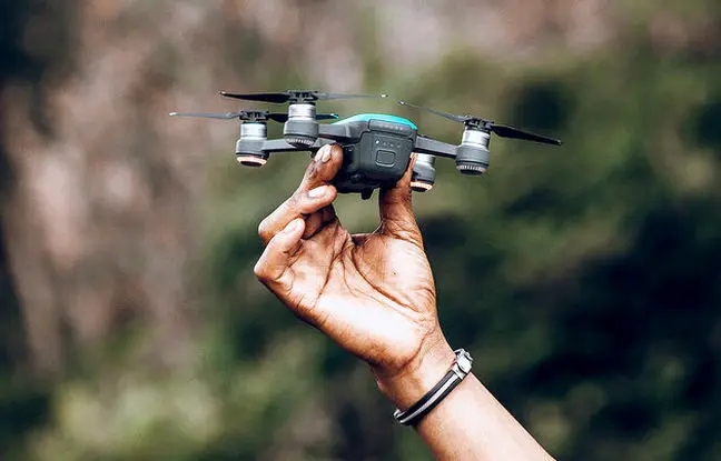 ریزپرنده‌ای که‌ ۲۰۰کیلومتر بر ساعت، سرعت دارد!