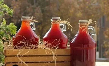 لایه‌ای که بر سطح آبغوره‌ها می‌بندد، ضرر دارد؟/ چه کنیم این لایه تشکیل نشود؟