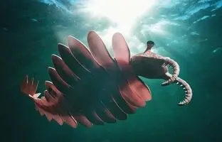 آنومالوکاریس؛ میگو غیر عادی و ترسناک