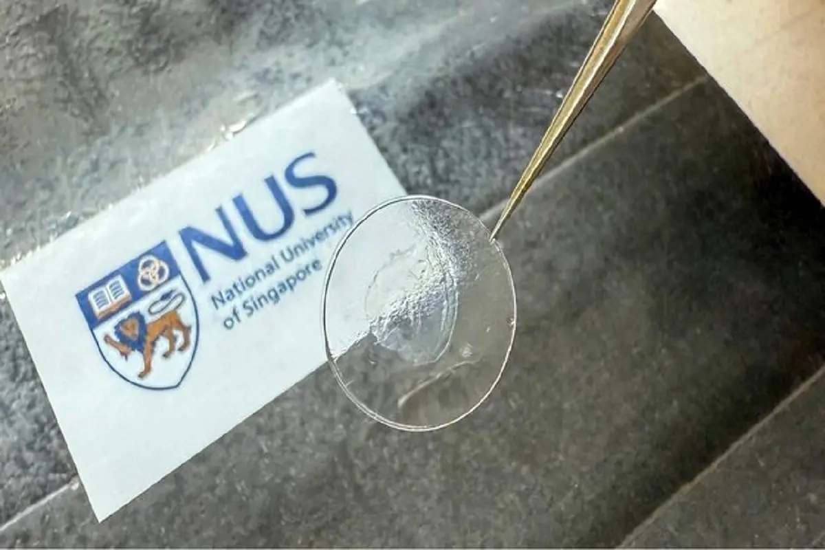 دانشمندان بافت قلب را دوباره جوان کردند! 