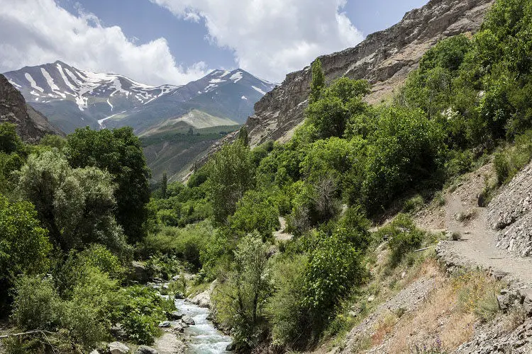 راهنمای سفر یک روزه به روستای آهار؛ جایی که کوه، رود و باغ‌های گیلاس دست‌به‌دست می‌دهند