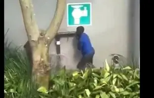 سرقت عجیب در آفریقای جنوبی! + ویدئو