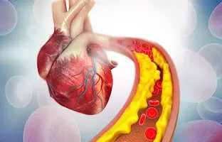 کاهش کلسترول خون با مصرف این دانه‌ی خوراکی
