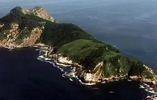 جزیره خطرناکی که در هر قدمش یک مار وجود دارد! +ویدئو