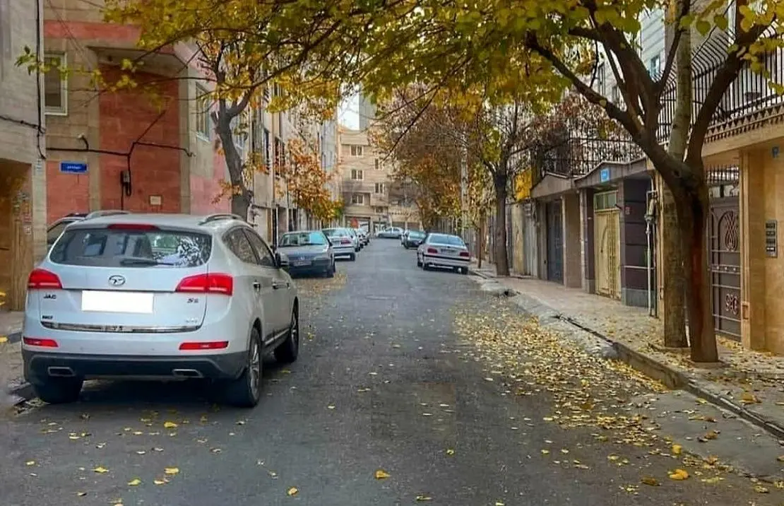  تهران قدیم؛ «شتربان و دو شترش» در حال عبور از محله خانی آباد نو؛ سال 52 + تصویر