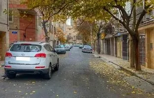  تهران قدیم؛ «شتربان و دو شترش» در حال عبور از محله خانی آباد نو؛ سال 52 + تصویر