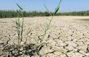 ۹ تالاب ایران بیابان شد