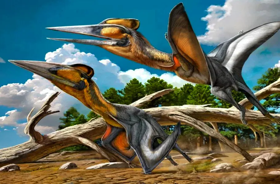 کشف فسیل خزنده بال‌دار با قدمت 90 میلیون سال در ژاپن