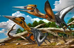 کشف فسیل خزنده بال‌دار با قدمت 90 میلیون سال در ژاپن