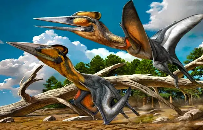 کشف فسیل خزنده بال‌دار با قدمت 90 میلیون سال در ژاپن