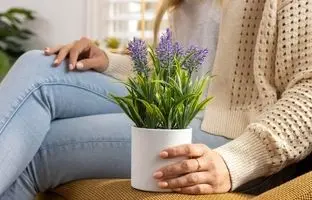 گیاهی که نمی‌دانستید خواب راحت و عشق را با هم به خانه می‌آورد