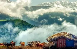 ۵ دهکده بهشتی کلاردشت برای کمپینک در طبیعتی خنک