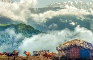 ۵ دهکده بهشتی کلاردشت برای کمپینک در طبیعتی خنک