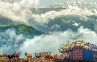 ۵ دهکده بهشتی کلاردشت برای کمپینک در طبیعتی خنک