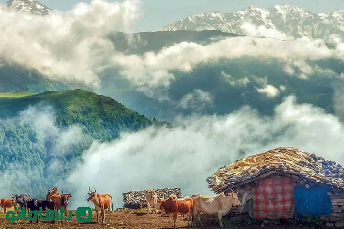 ۵ دهکده بهشتی کلاردشت برای کمپینک در طبیعتی خنک