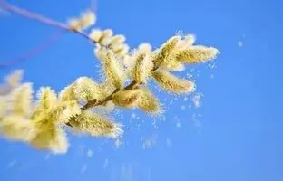 شما هم این ۸ اثر منفی و مثبت فصل بهار را احساس می‌کنید؟