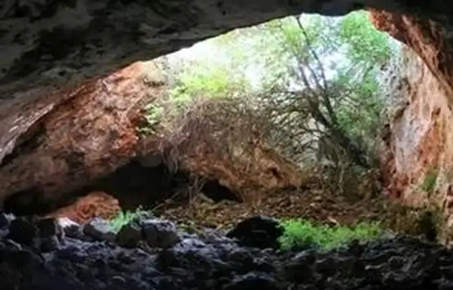  بقایای «کرگدن ماقبل تاریخ» از یک غار در کرمانشاه بیرون آمد 