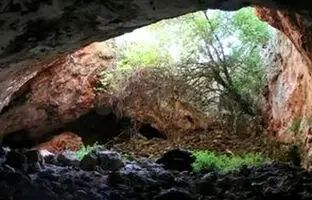  بقایای «کرگدن ماقبل تاریخ» از یک غار در کرمانشاه بیرون آمد 